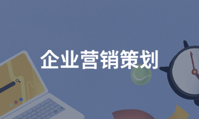 企业营销策划(集锦5